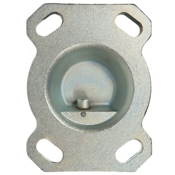h-castor-plate9A6D553E-2ADF-CFE6-FD85-FF5099C3D314.jpg